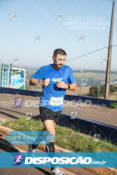 Maratona de Londrina 2024