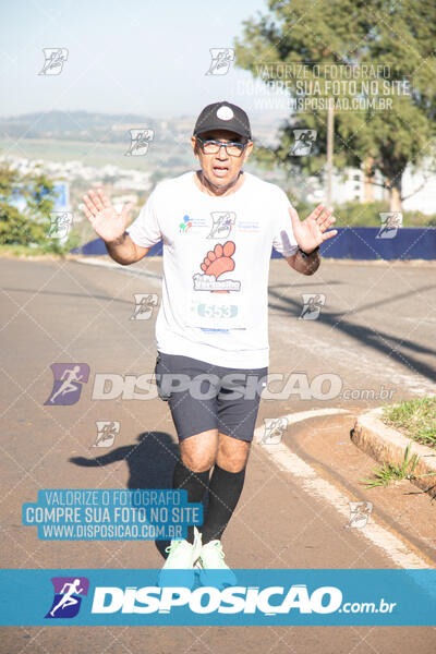 Maratona de Londrina 2024