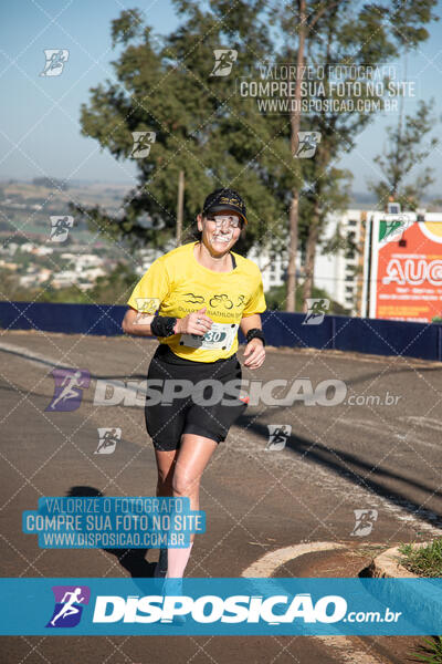 Maratona de Londrina 2024