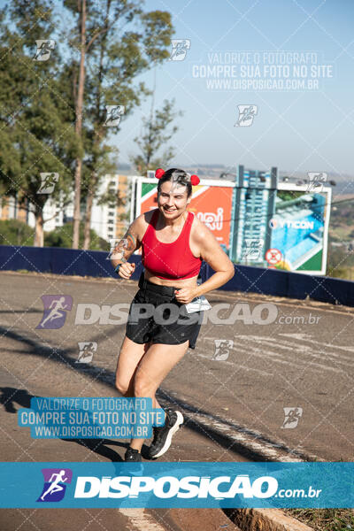 Maratona de Londrina 2024