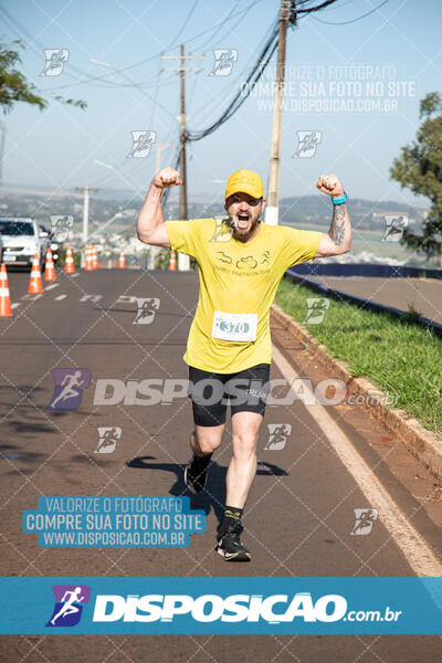 Maratona de Londrina 2024