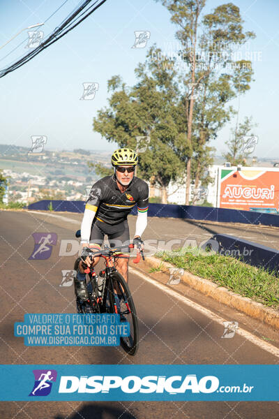 Maratona de Londrina 2024