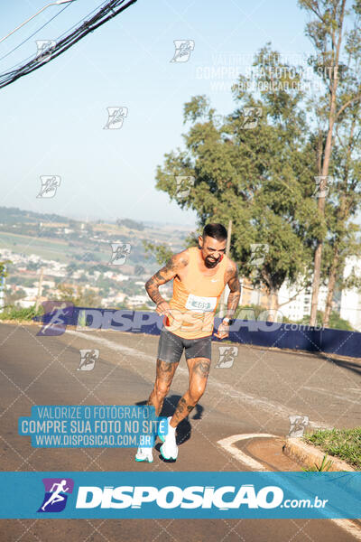 Maratona de Londrina 2024