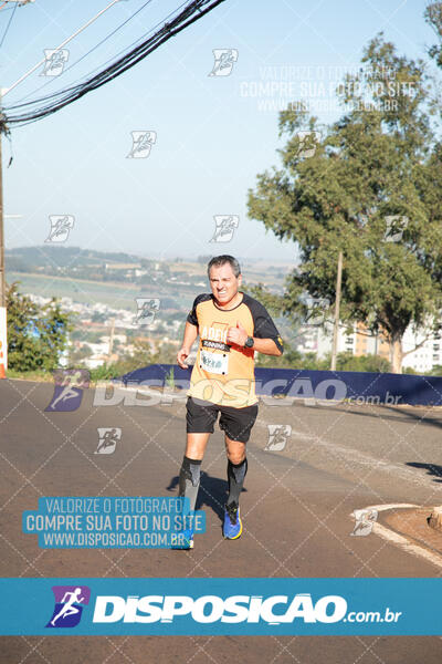 Maratona de Londrina 2024