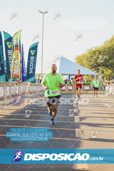 Maratona de Londrina 2024