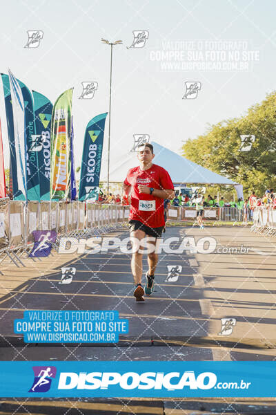 Maratona de Londrina 2024