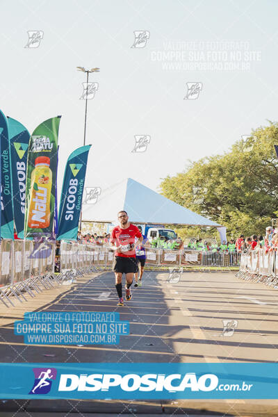 Maratona de Londrina 2024