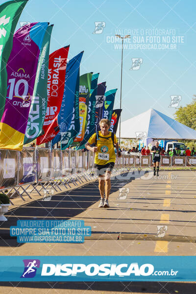 Maratona de Londrina 2024