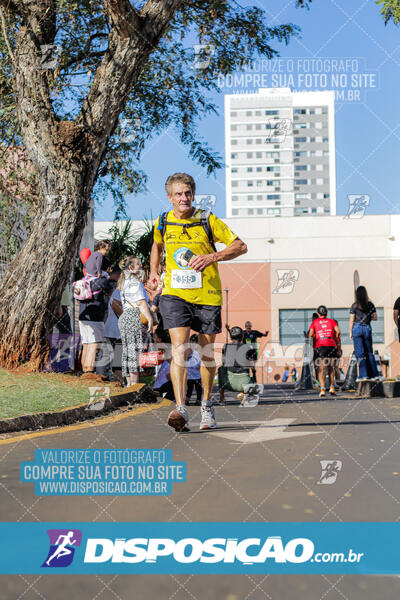 Maratona de Londrina 2024