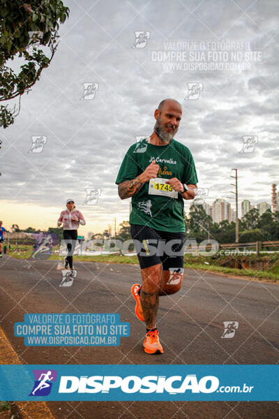 Maratona de Londrina 2024