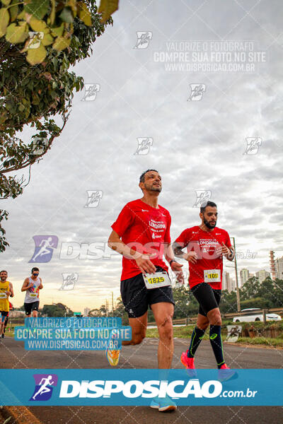 Maratona de Londrina 2024