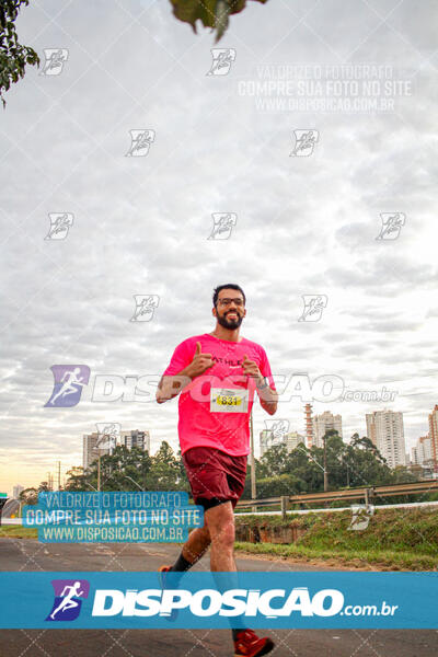 Maratona de Londrina 2024