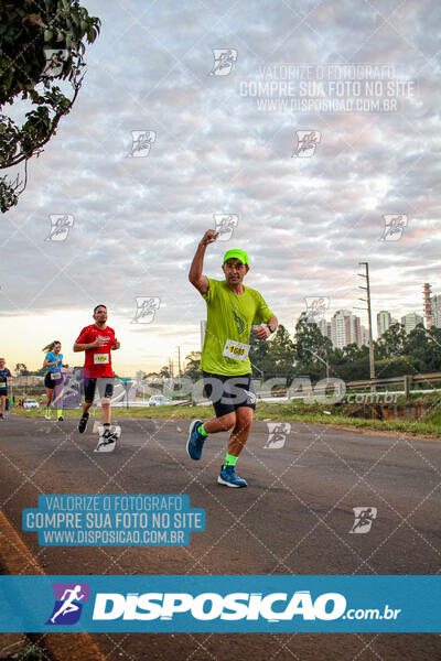 Maratona de Londrina 2024