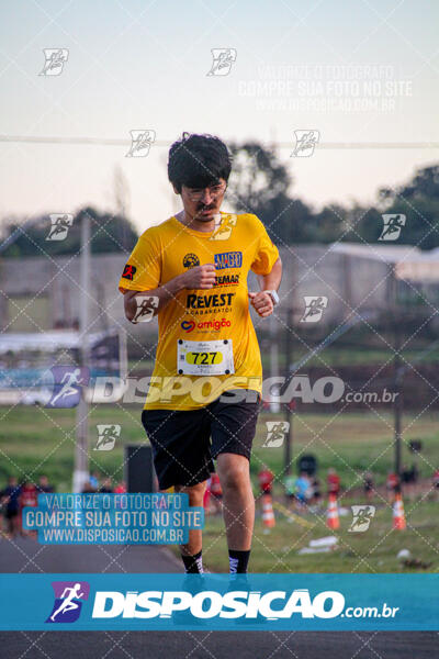 Maratona de Londrina 2024