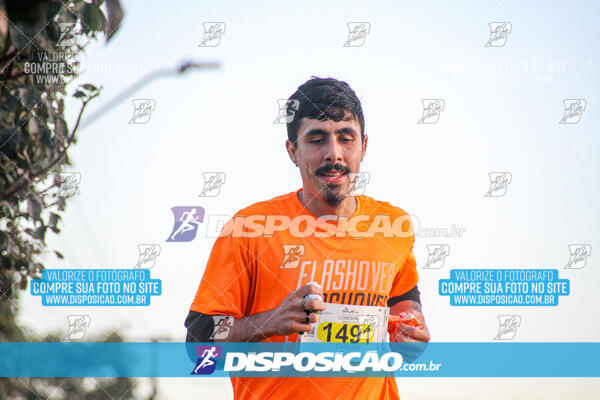 Maratona de Londrina 2024