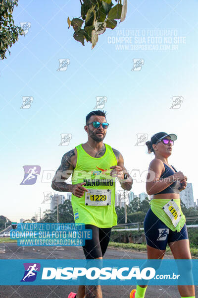 Maratona de Londrina 2024