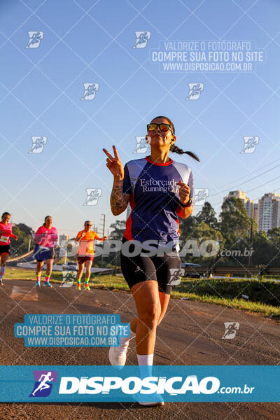 Maratona de Londrina 2024