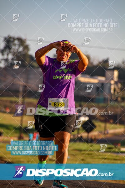 Maratona de Londrina 2024