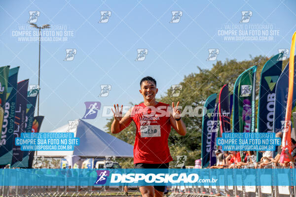 Maratona de Londrina 2024