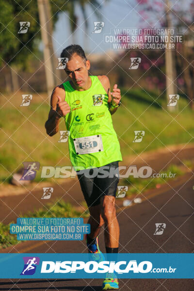 Maratona de Londrina 2024