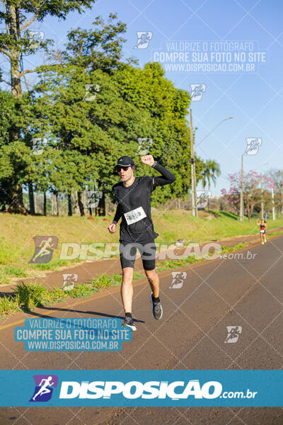 Maratona de Londrina 2024