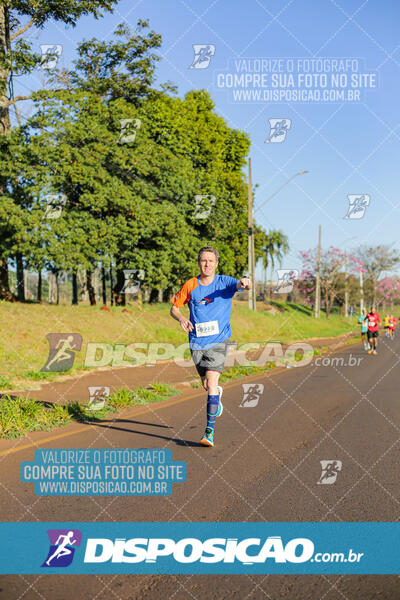 Maratona de Londrina 2024