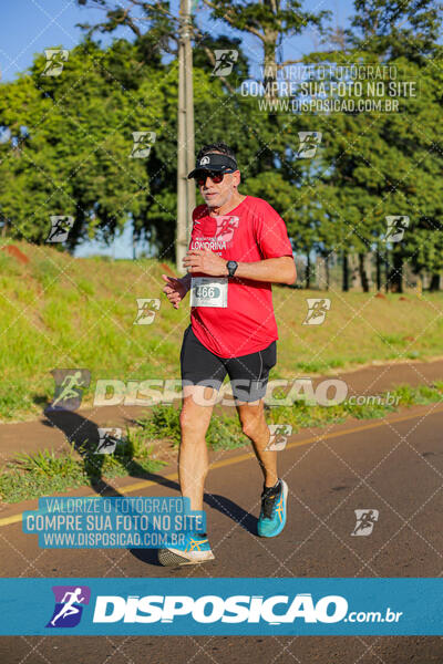 Maratona de Londrina 2024