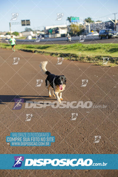 Maratona de Londrina 2024