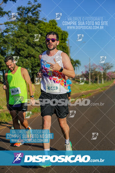 Maratona de Londrina 2024