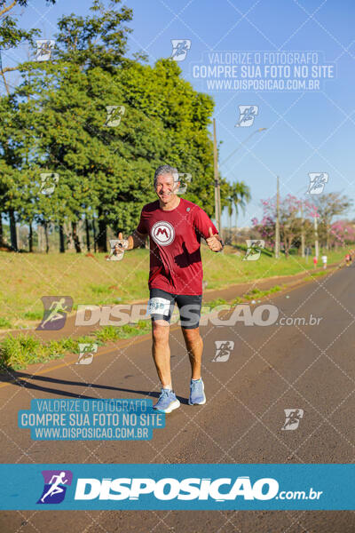 Maratona de Londrina 2024