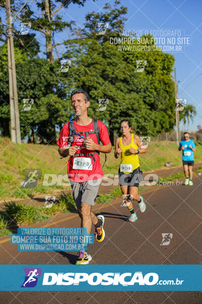 Maratona de Londrina 2024