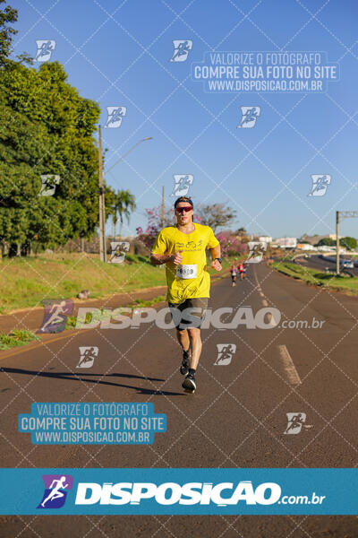 Maratona de Londrina 2024