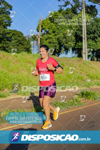 Maratona de Londrina 2024