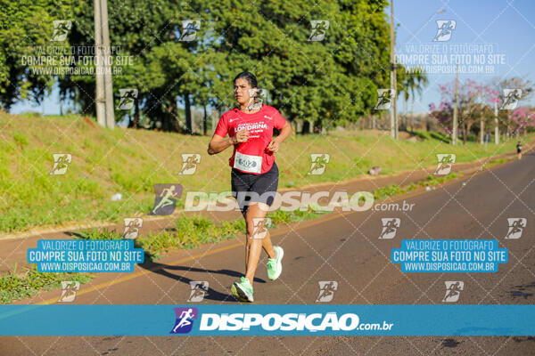 Maratona de Londrina 2024