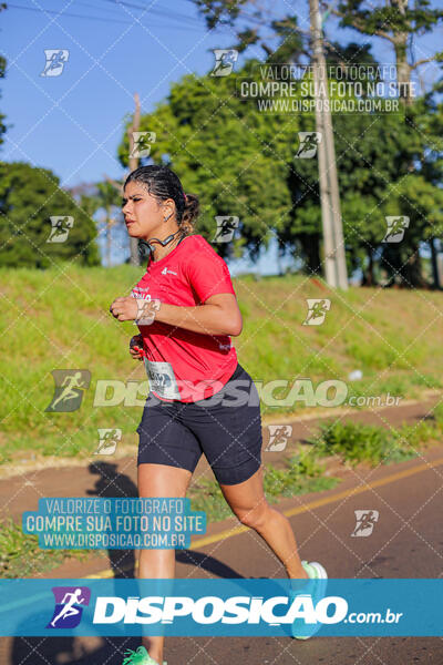 Maratona de Londrina 2024