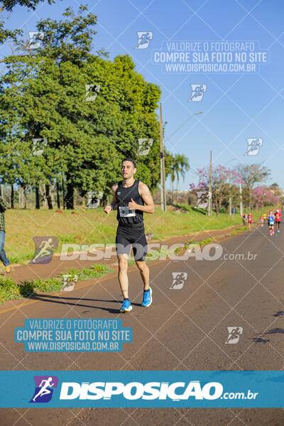 Maratona de Londrina 2024