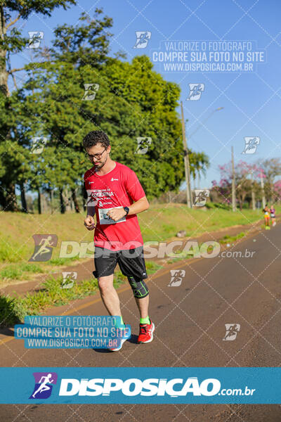 Maratona de Londrina 2024