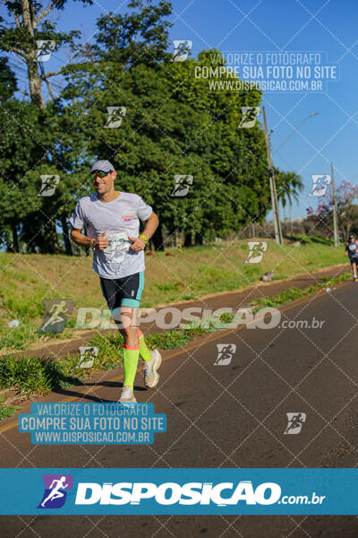 Maratona de Londrina 2024