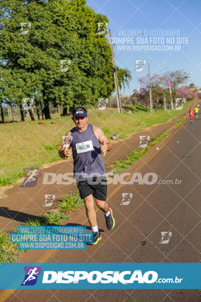 Maratona de Londrina 2024