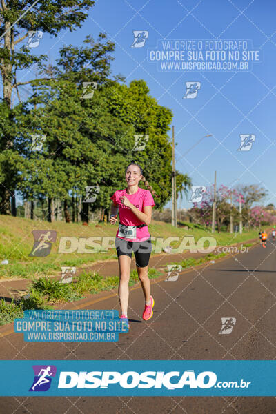 Maratona de Londrina 2024