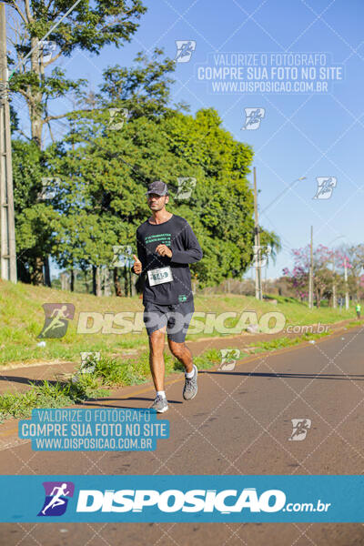 Maratona de Londrina 2024