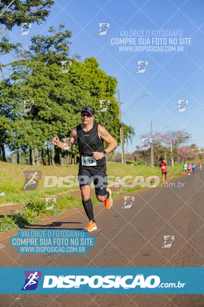 Maratona de Londrina 2024