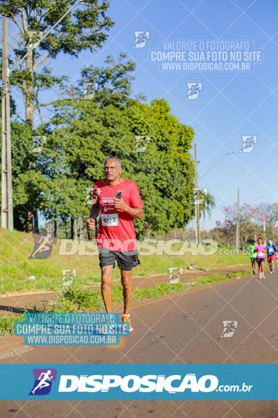 Maratona de Londrina 2024