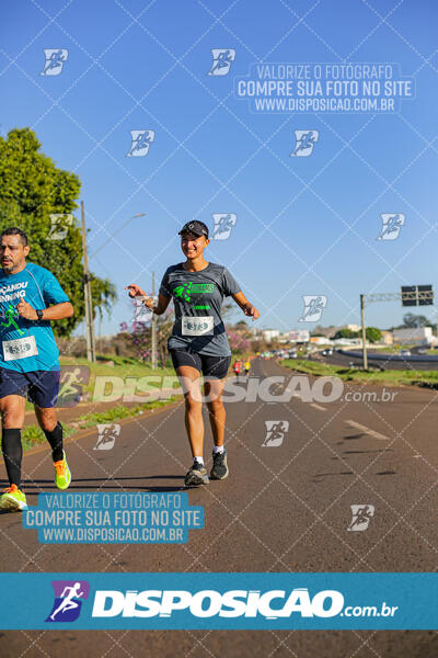 Maratona de Londrina 2024