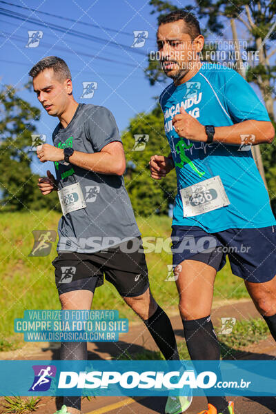 Maratona de Londrina 2024