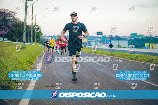 Maratona de Londrina 2024