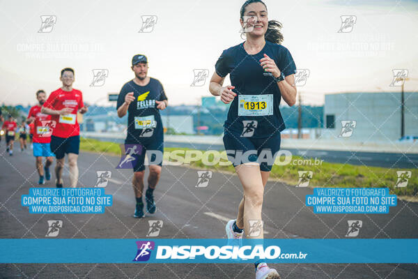 Maratona de Londrina 2024