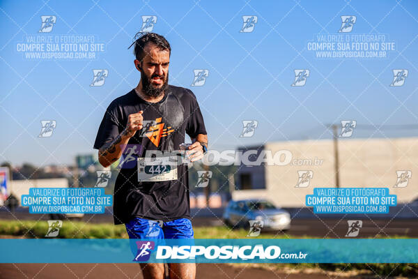 Maratona de Londrina 2024