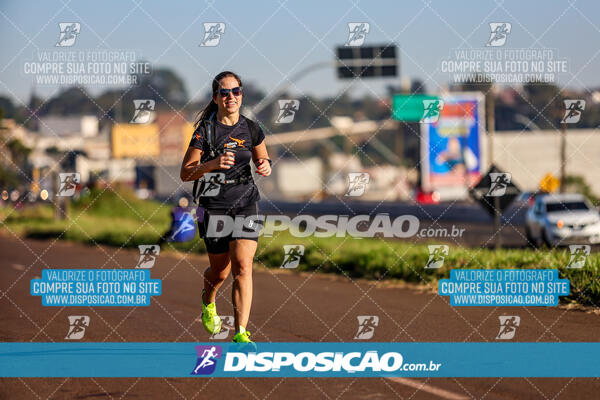 Maratona de Londrina 2024