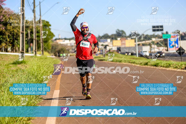 Maratona de Londrina 2024